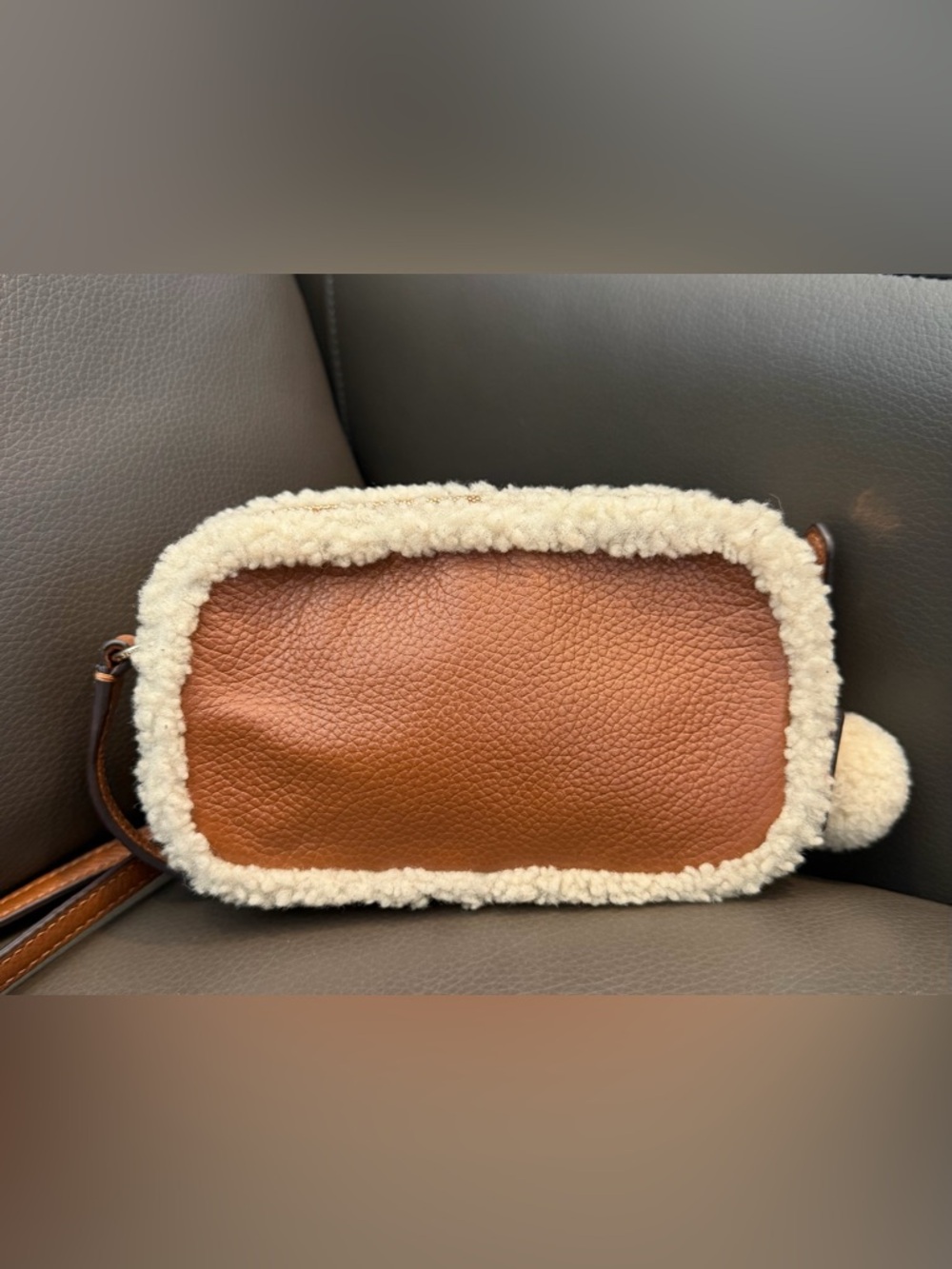 Coach Pebble Shearling Crossbody Mini Bag - Picture 3 of 6